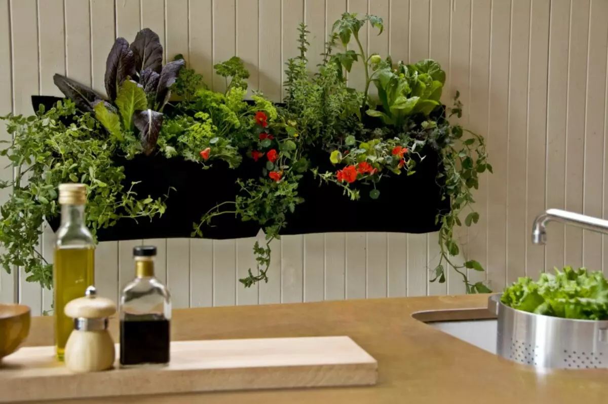 Kuchyňa s vnútornými rastlinami v kompozícii