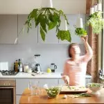Kuhinja sa zatvorenim biljkama