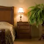 Slaapkamer met binnenshuise plante