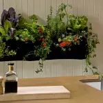 組成物の屋内植物のあるキッチン