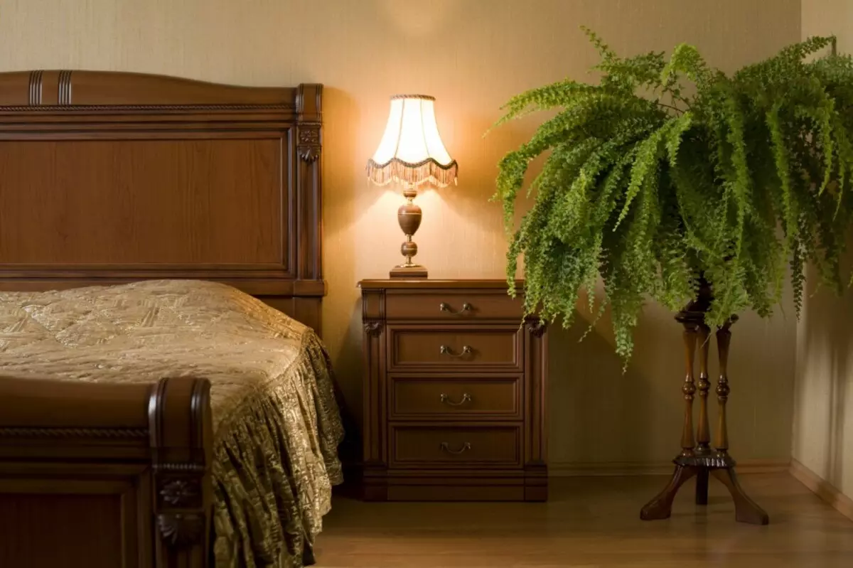 غرفة نوم مع النباتات الداخلية