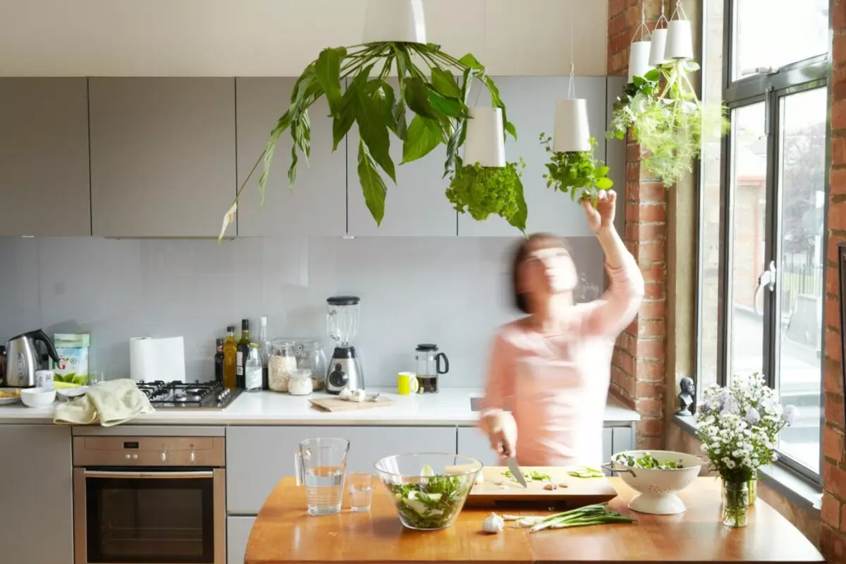 Кухня със закрити растения