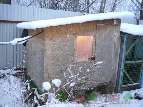 Schuur voor kippen voor de winter: bouw en isoleer de kippenhok