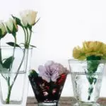 Kvetináče pre dizajn interiéru (+50 fotografií)