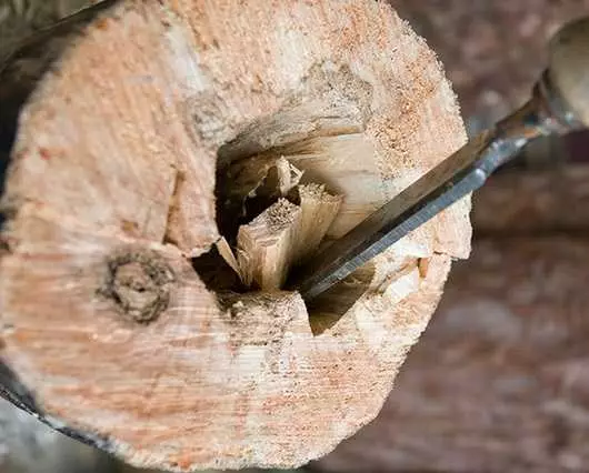 Kiel fari birdomobilon: de tabuloj kaj ŝtipoj por malsamaj birdoj