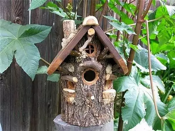 কিভাবে একটি birdhouse করতে: বোর্ড থেকে এবং বিভিন্ন পাখি জন্য লগ