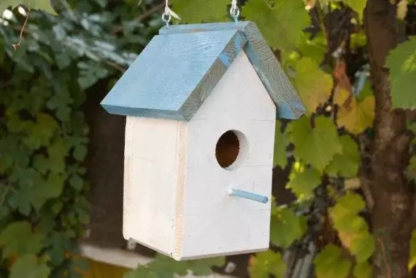 ஒரு birdhouse செய்ய எப்படி: பல பறவைகள் பலகைகள் மற்றும் பதிவுகள் இருந்து