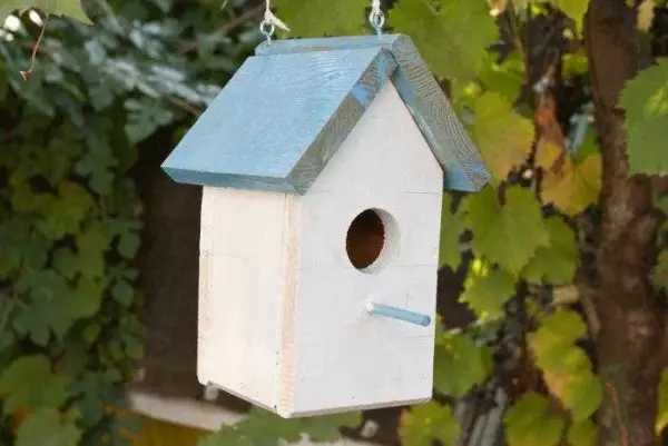 Cara nggawe Birdhouse: Saka papan lan log kanggo manuk sing beda