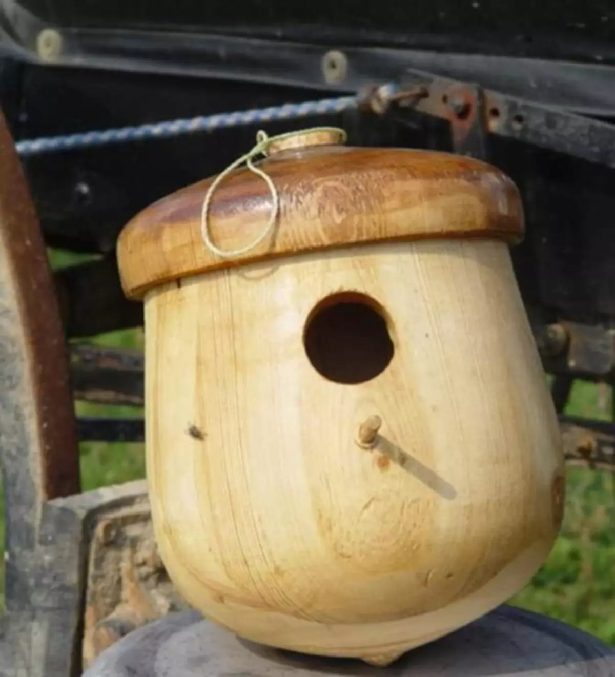 Cara Membuat Rumah Burung: Dari Papan dan Log untuk Burung Berbeda
