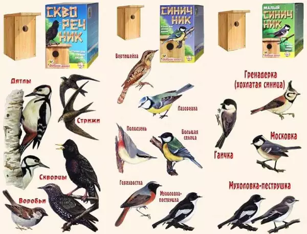 Kako napraviti kuću za ptice: od ploča i dnevnika za različite ptice