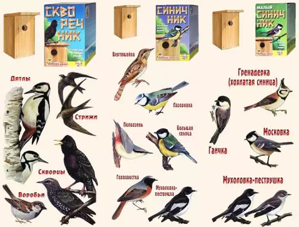 Hoe een vogelhuisje te maken: van planken en logboeken voor verschillende vogels