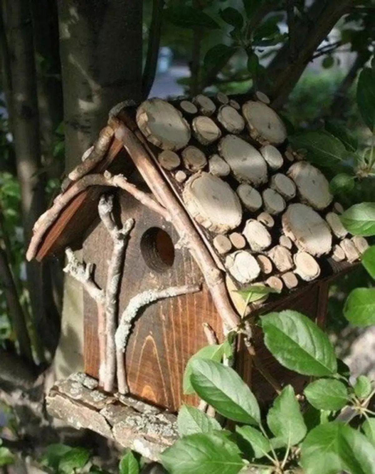 Sut i wneud Birdhouse: O fyrddau a boncyffion ar gyfer gwahanol adar