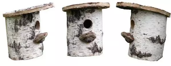Hvordan lage et fuglhus: fra brett og logger for forskjellige fugler