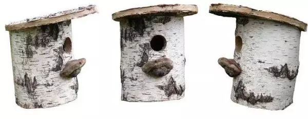 Hvernig á að gera birdhouse: frá stjórnum og logs fyrir mismunandi fugla