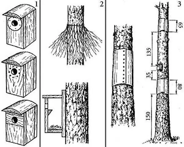 איך לעשות birdhouse: מ לוחות ו יומנים עבור ציפורים שונות