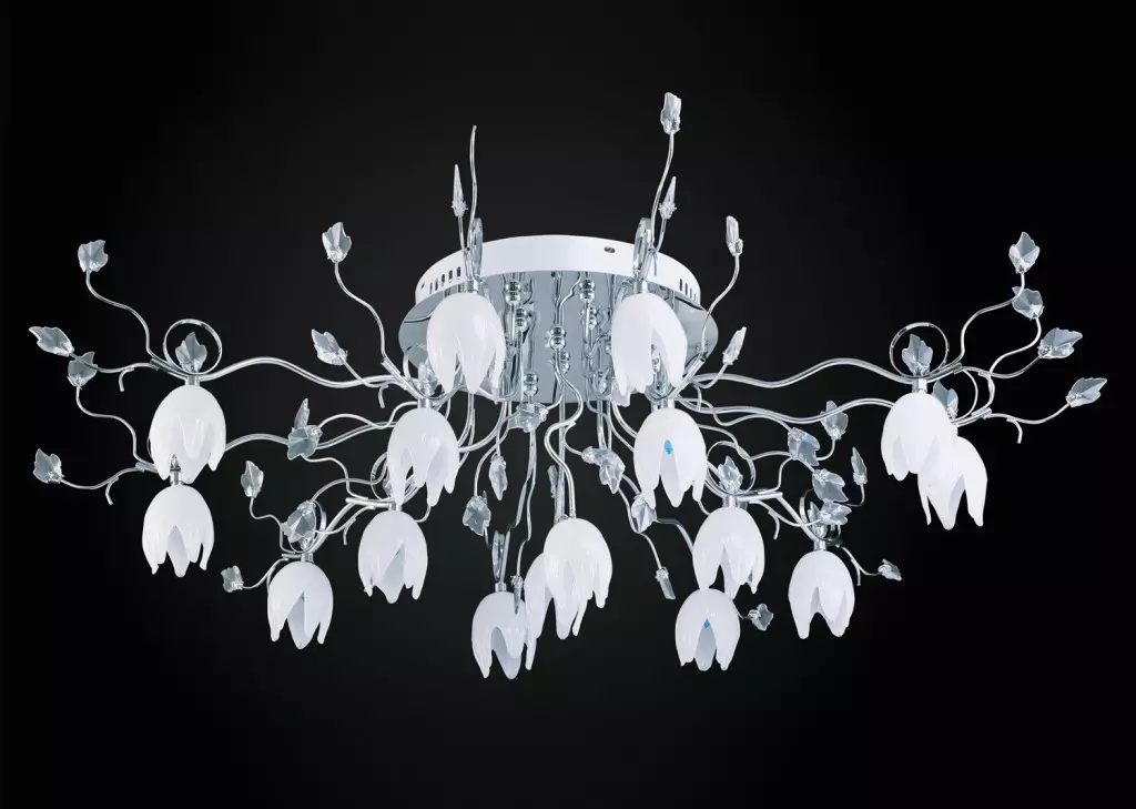 Zomwe ma chandeliers ndizoyenera kutambalala