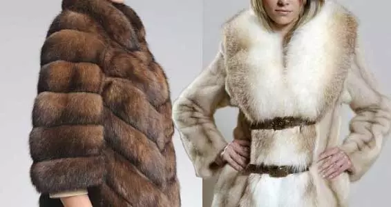 Mga uri ng balahibo para sa fur coats, ang kanilang wear resistance at presyo (larawan)