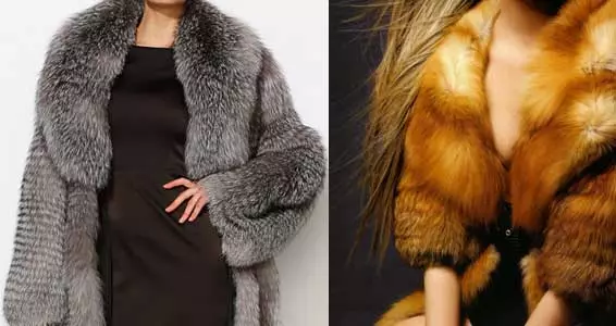 Typer pels for pelsjakker, deres slitestyrke og pris (foto)
