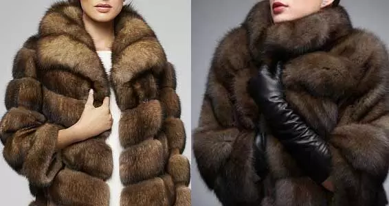 Видови на крзно за крзно палта, нивната отпорност на абење и цена (слика)