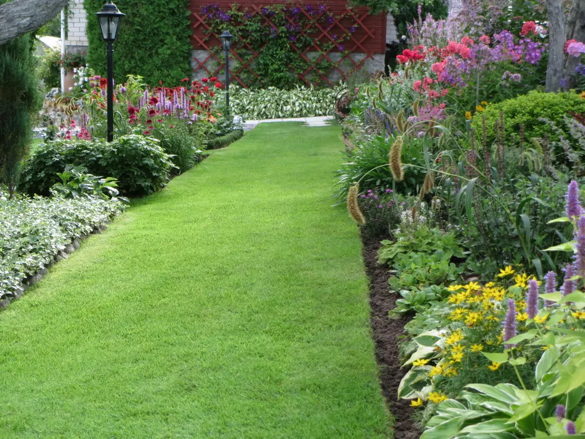 Pistas de xardín: cal é a opción de revestimento para escoller en 2019?