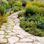 Pistas de xardín: cal é a opción de revestimento para escoller en 2019?
