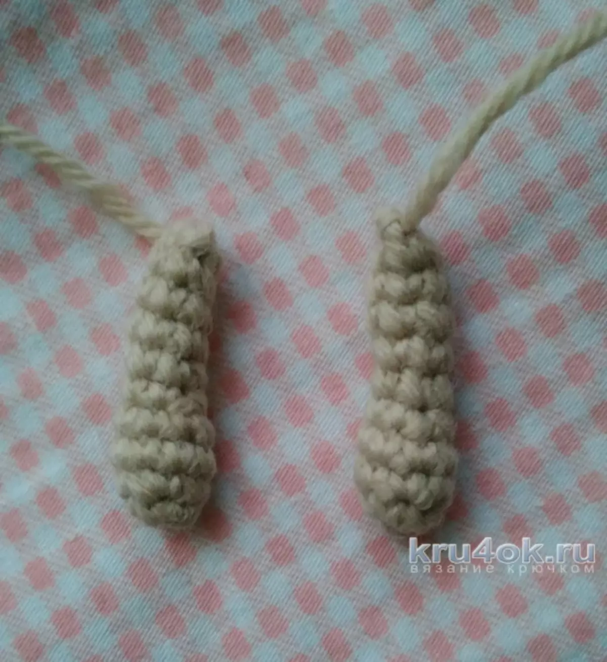 Circuit Diagrame Amiguruchi Crochet: Clasa Master cu descriere și video