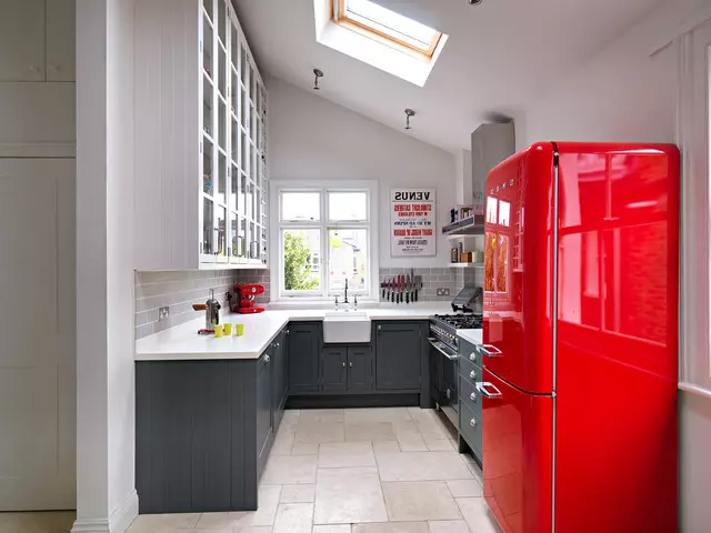 Světlá chladnička v interiéru kuchyně (45 fotek)
