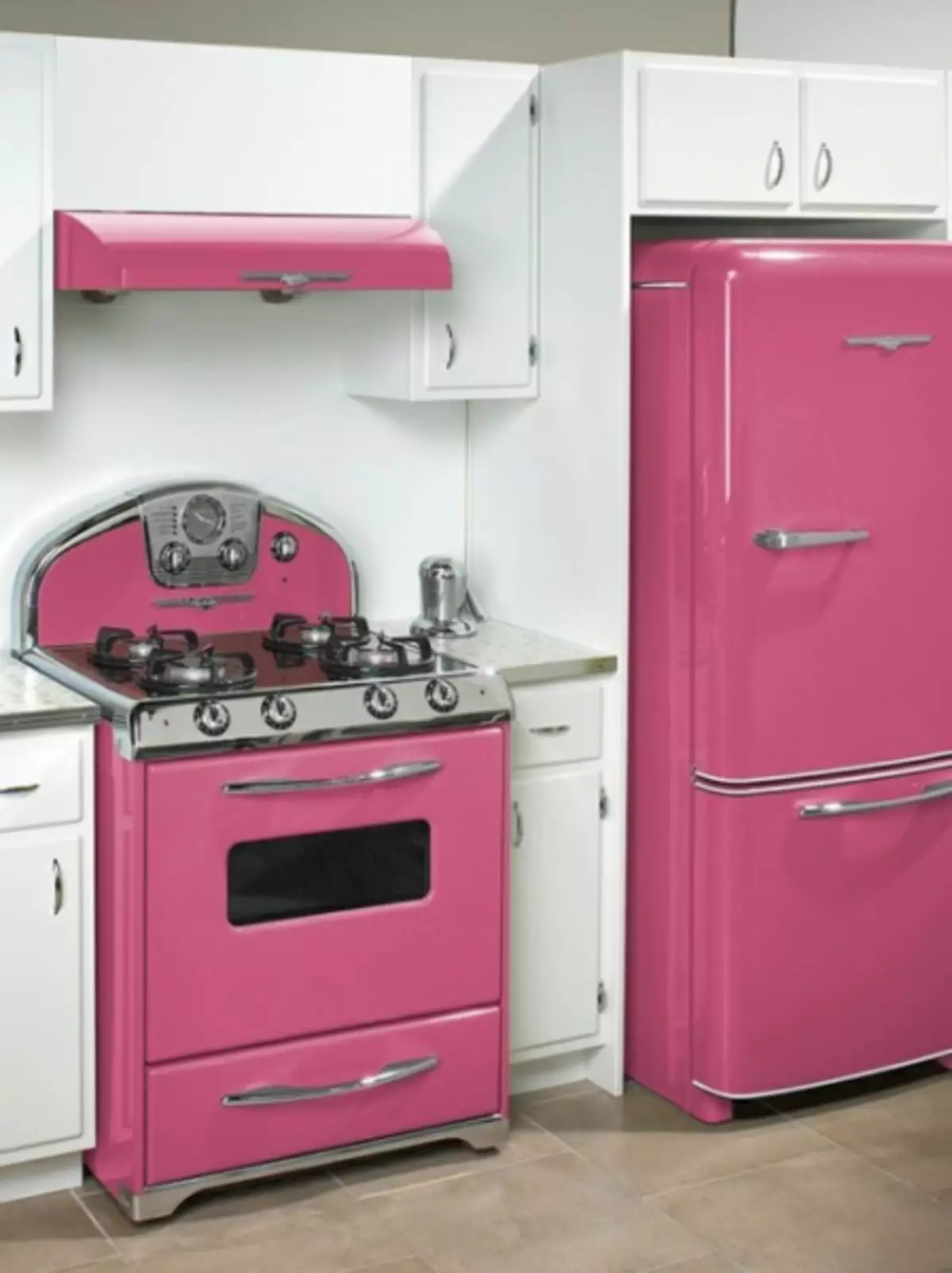 Heller Kühlschrank in der Küche Interieur (45 Fotos)