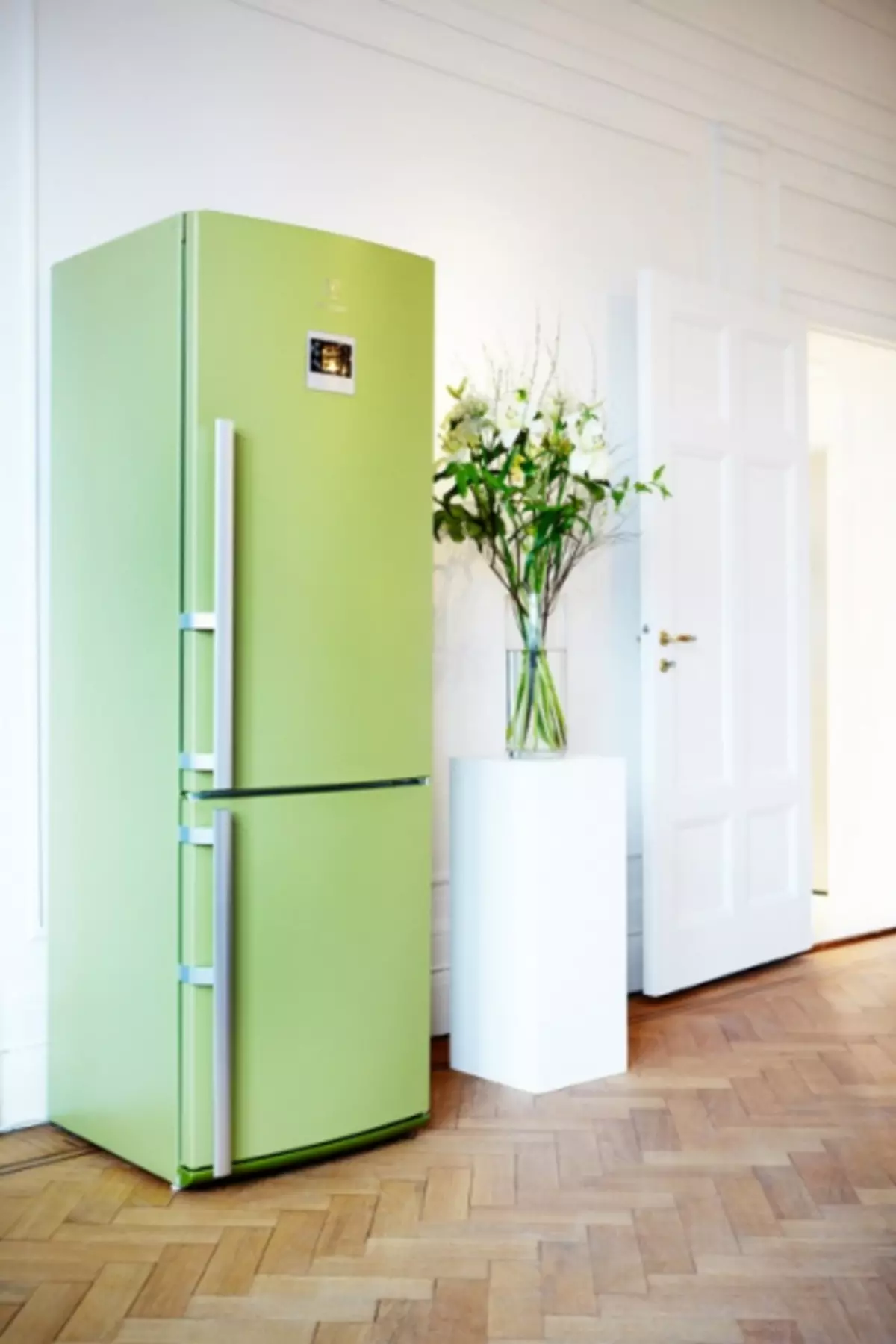 Ryškus šaldytuvas virtuvės interjero (45 nuotraukos)
