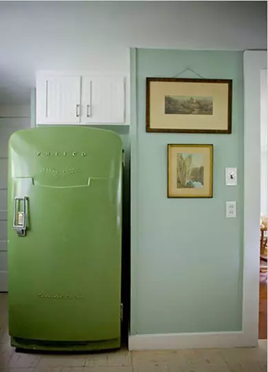 Spilgts ledusskapis virtuves interjerā (45 fotogrāfijas)
