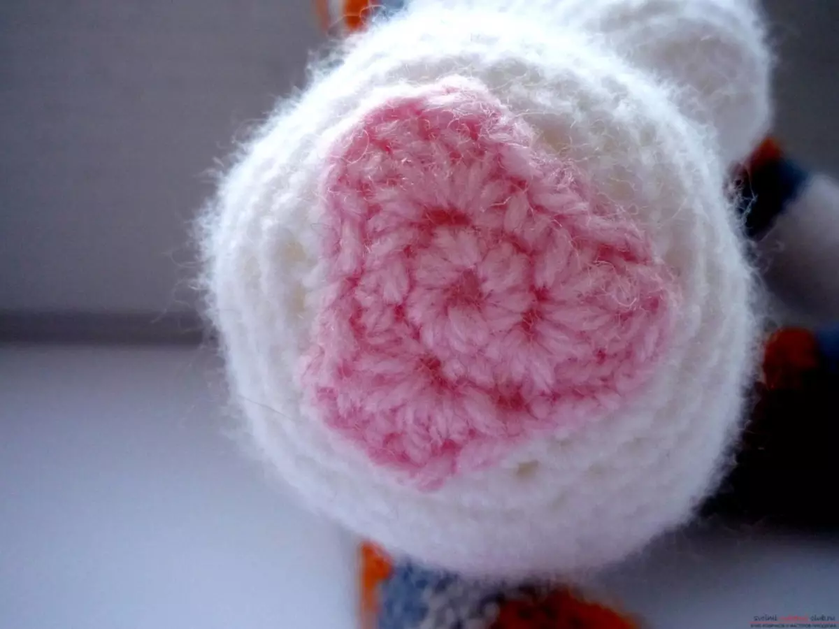 Муур Amiguruchi-ийн Crochet Crochet: Тайлбар, видео бүхий схем