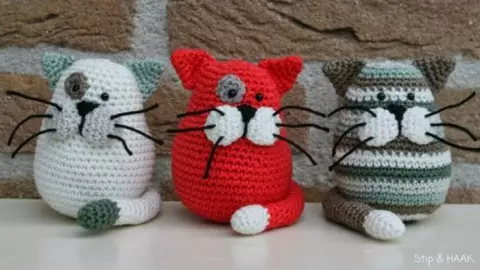 Cat Amiguruchi Crochet за начинаещи: схема с описание и видео