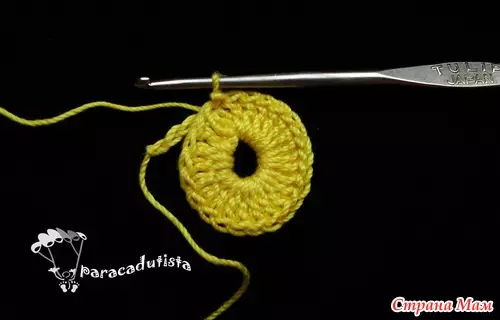 Si Lace Circuit Crochet nga wala'y luha nga thread: Master Class nga adunay paghulagway ug video