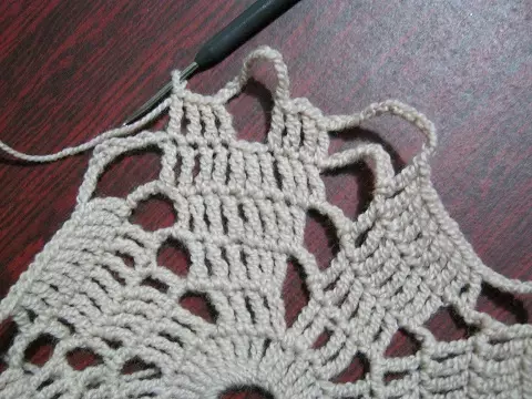 初心者のための詳細なかぎ針編みのレッスンナプキン