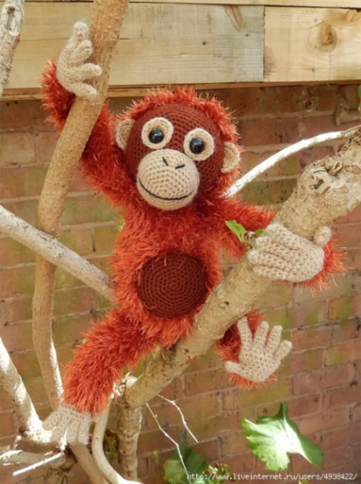 Təsvir və sxemlərlə Orangutang Crochet: Video ilə master-klass