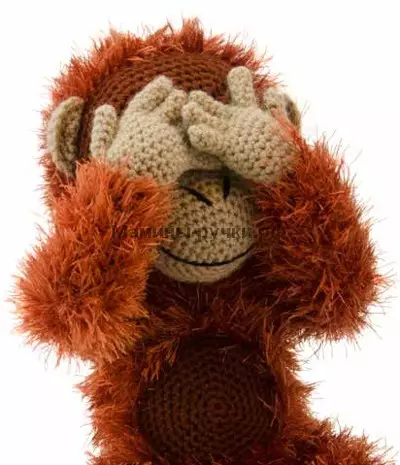 Orangutang သည်ဖော်ပြချက်နှင့်အစီအစဉ်များနှင့်အတူ crochet: Master Class