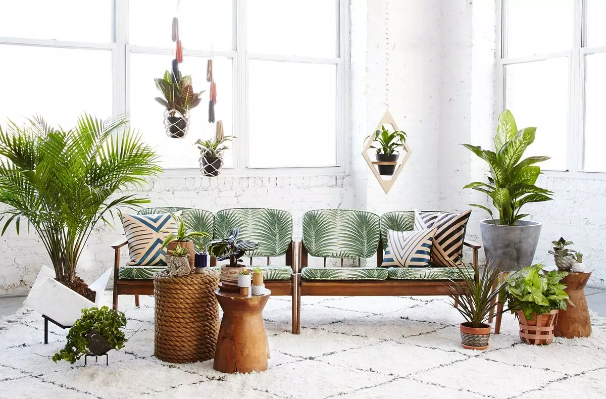 Tendência de 2019: Como usar plantas vivas para ser elegante