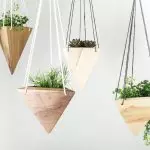 Trend 2019: Hoe kinne jo live planten brûke om stylfolle te wêzen