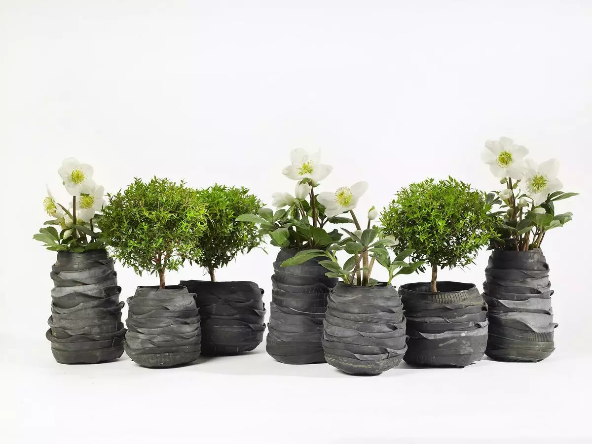 रुझान 2019: स्टाइलिश होने के लिए लाइव पौधों का उपयोग कैसे करें