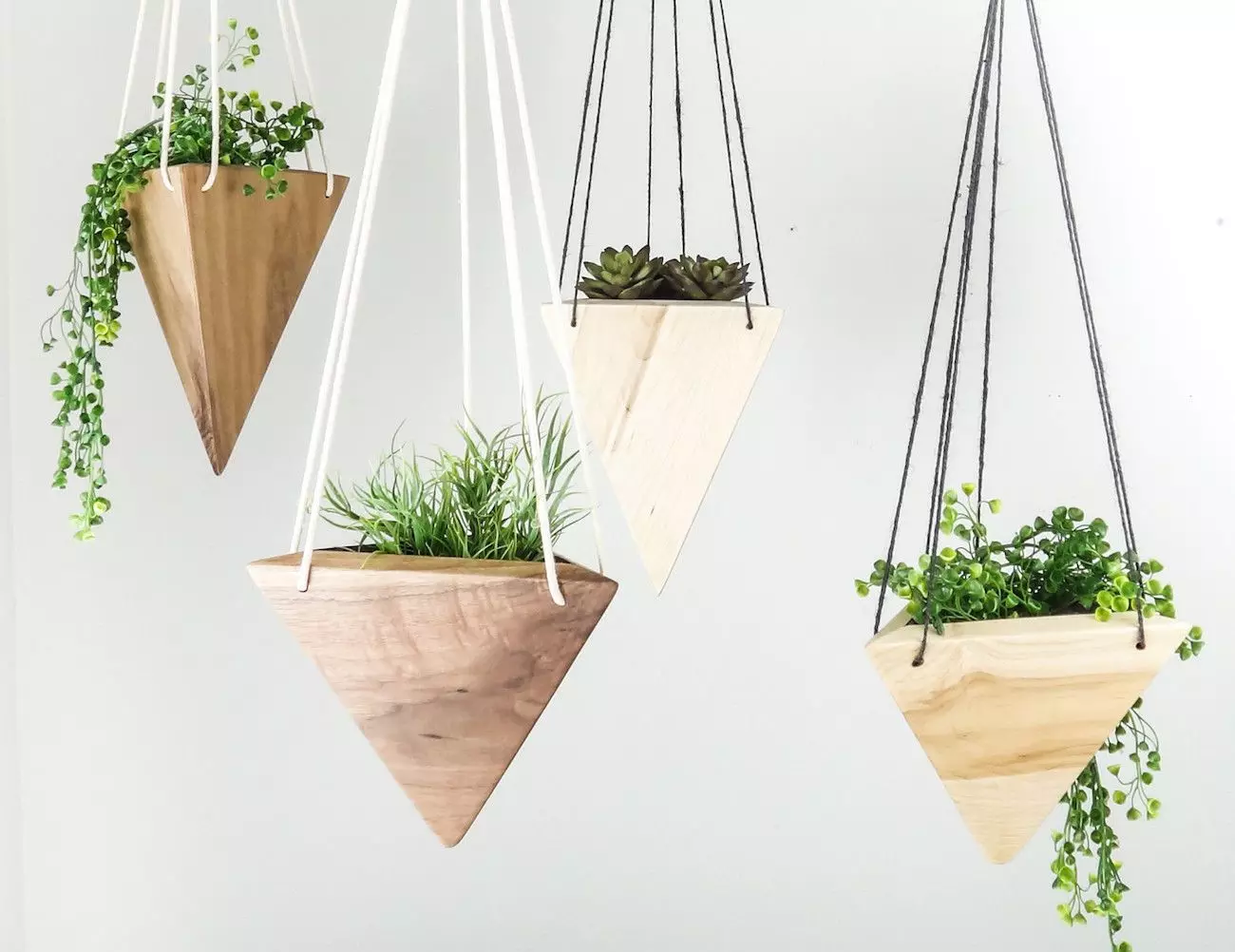 Tendência de 2019: Como usar plantas vivas para ser elegante