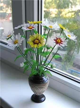 Bead Chamomile: Máistir-Rang ar Fíodóireacht Flower Flower