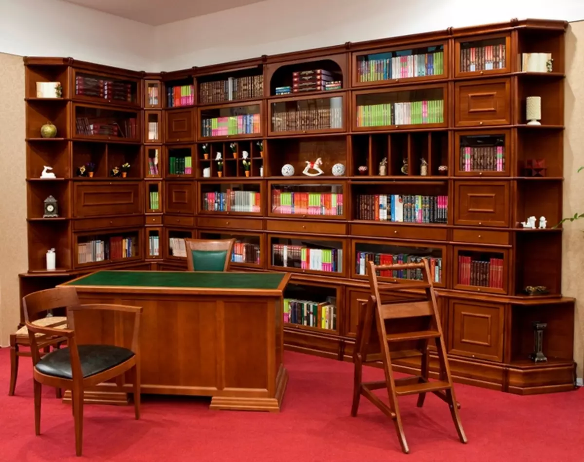 Dom dla książek: Układ biblioteki domowej w nowoczesnej obudowie (42 zdjęcia)