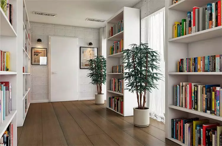 Casa para libros: Arreglo da biblioteca Inicio nunha vivenda moderna (42 fotos)