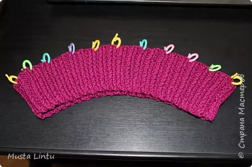Mesh Mesh Crochet foar begjinners mei skema's en beskriuwing