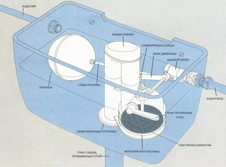 Poukisa swe nan tank twalèt