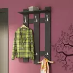 Hanger in the hallway - decoration and functional thing (+40 photos)