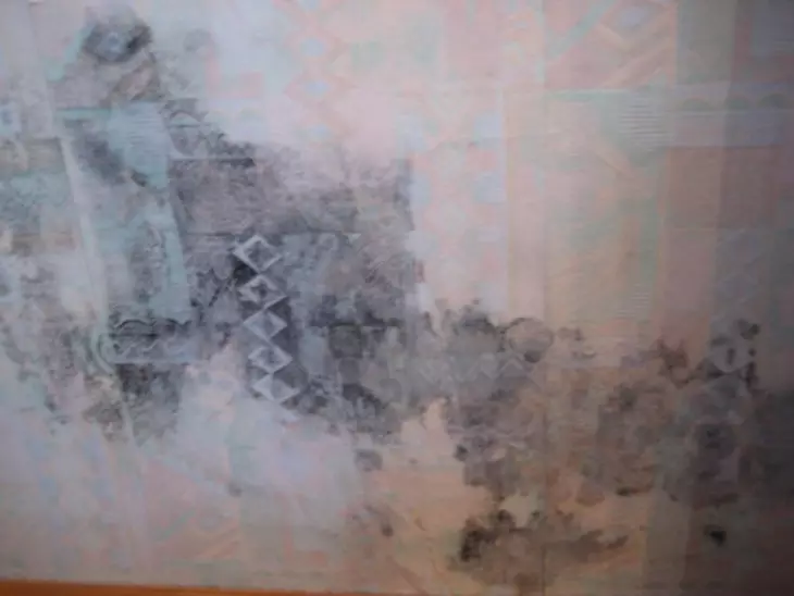 Skimmelsvamp under tapet manifesteret på væggene af sorte pletter