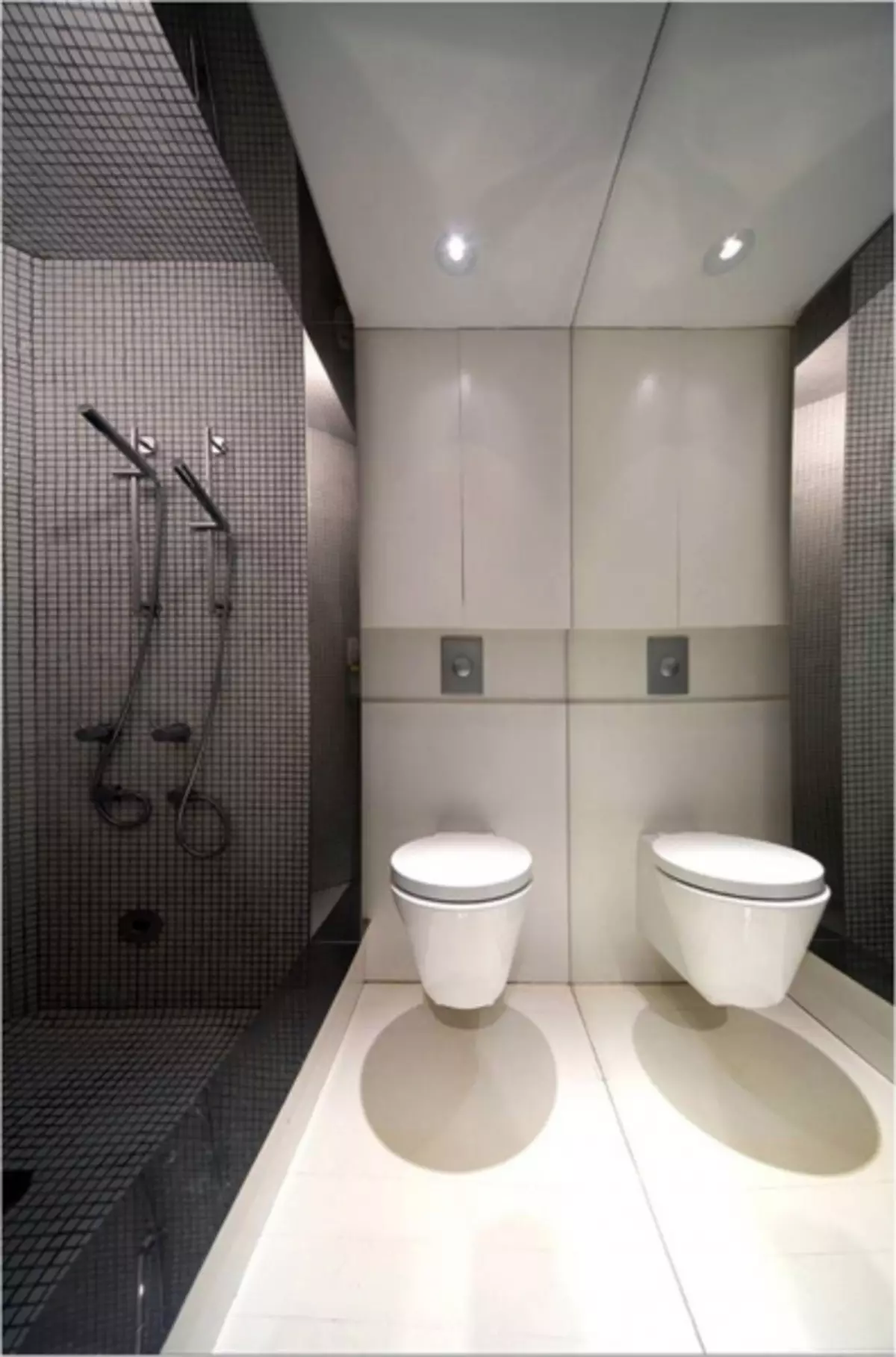Toilet design (108 mga larawan)