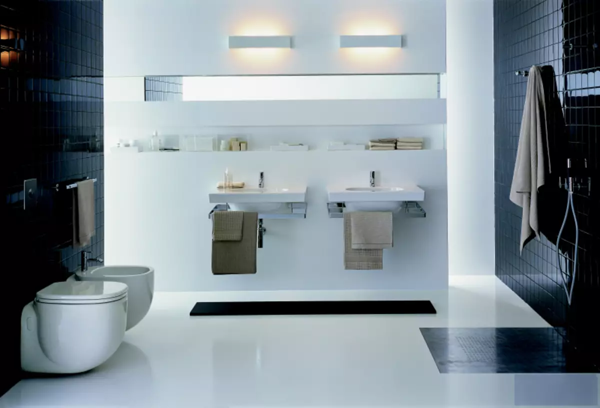 Toilet design (108 mga larawan)