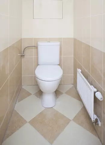 Dizajn tualeti (108 foto)
